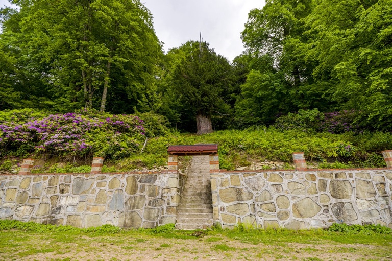 Gümeli Tabiat Anıtı