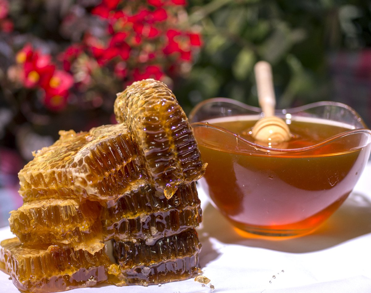 Zonguldak Chestnut Honey