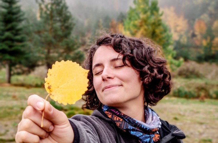 Bölüklü Plateau Camping Area | Zonguldak Camping Places