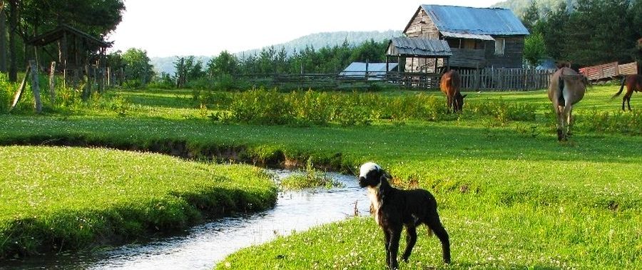 Gümeli'de Doğayla Bütünleş